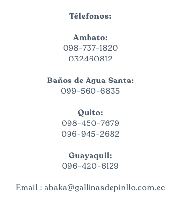 &nbsp;Télefonos: Ambato: 098-737-1820 032460812 Baños de Agua Santa: 099-560-6835 Quito: 098-450-7679 096-945-2682 Guayaquil: 096-420-6129 Email : abaka@gallinasdepinllo.com.ec 